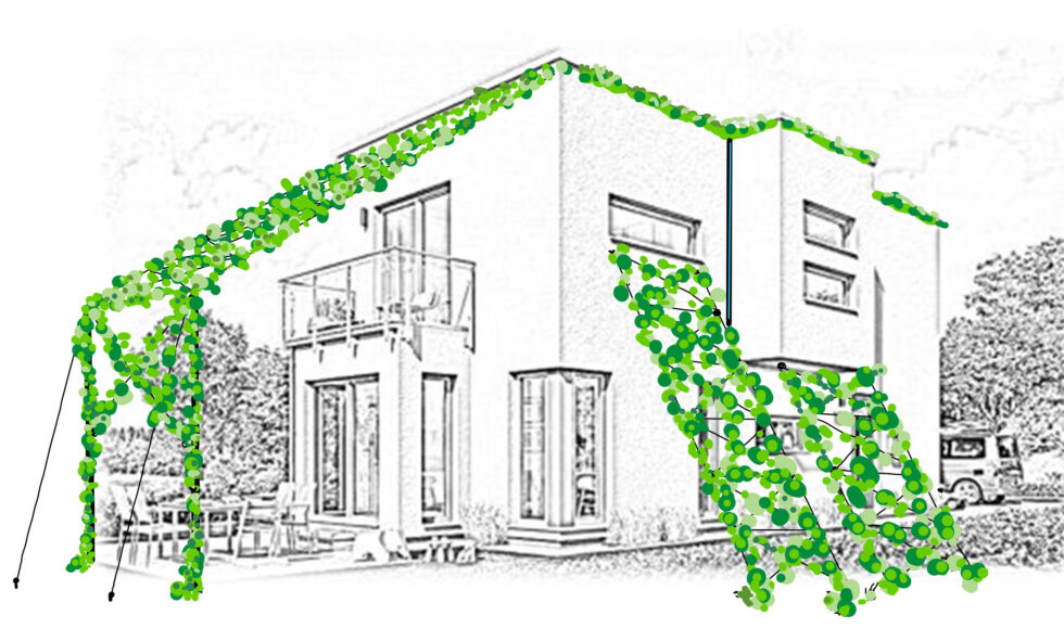 Grünes Haus-Schattennetz,Niedriger Preis Grünes Haus-Schattennetz  Beschaffung