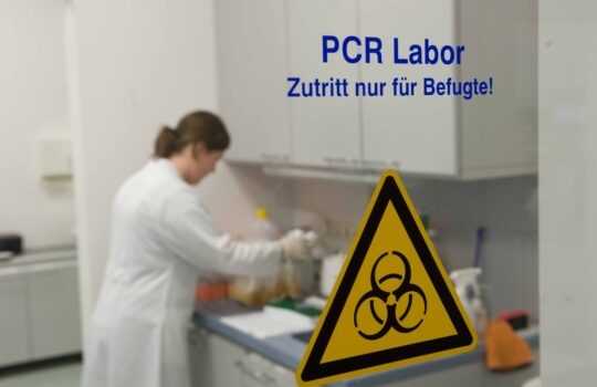 PCR Labor