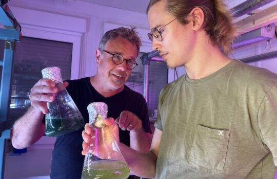 Überprüfen das Wachstum der Spirulina-Alge in verschiedenen Nährlösungen: Projektleiter Dr. Stephan Ende (links) und Albert Beyer. Foto: Helmut Stapel