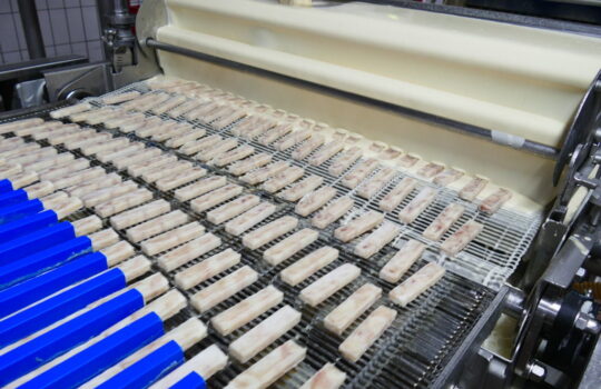Auf dem Weg in die Panade: pro Tagesproduktion werden vier Millionen Fischstäbchen bei Frosta hergestellt. Foto: Helmut Stapel