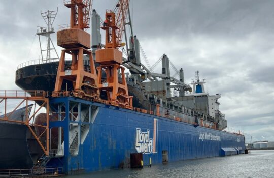 Müssten fürs Recycling ins Dock statt an Land: größere Seeschiffe. Foto: Helmut Stapel