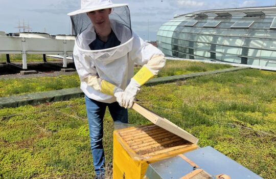 Hat den richtigen Umgang mit Bienen von seinem Opa gelernt: Jung-Imker Sten-Luca Broers. Foto: Stop press/Helmut Stapel
