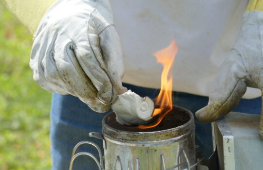 Feuer für den „Smoker“: Mit Hilfe des Rauchs werden die Bienen beruhigt. Foto: Stop press/Helmut Stapel